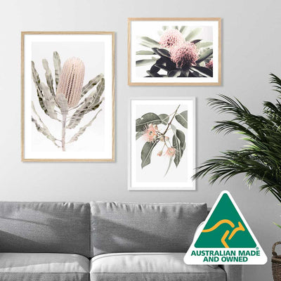 wall-display-of-framed-Floral-&-Botanical-decorator-wall-art-prints