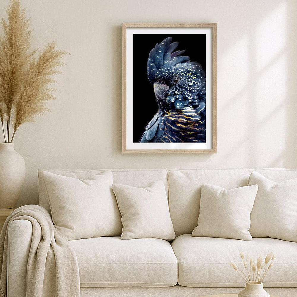 Black Cockatoo 2 Modern Wall Art Print from our Australian Made Framed Wall Art, Prints & Posters collection by Profile Products (Australia) Pty Ltd
