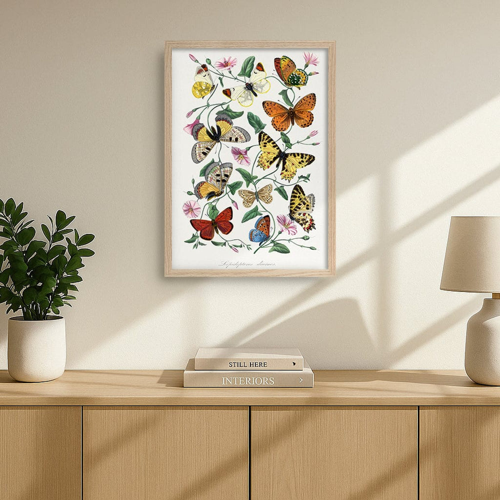 Butterfly & Moth Floral Art Print from our Australian Made Framed Wall Art, Prints & Posters collection by Profile Products (Australia) Pty Ltd