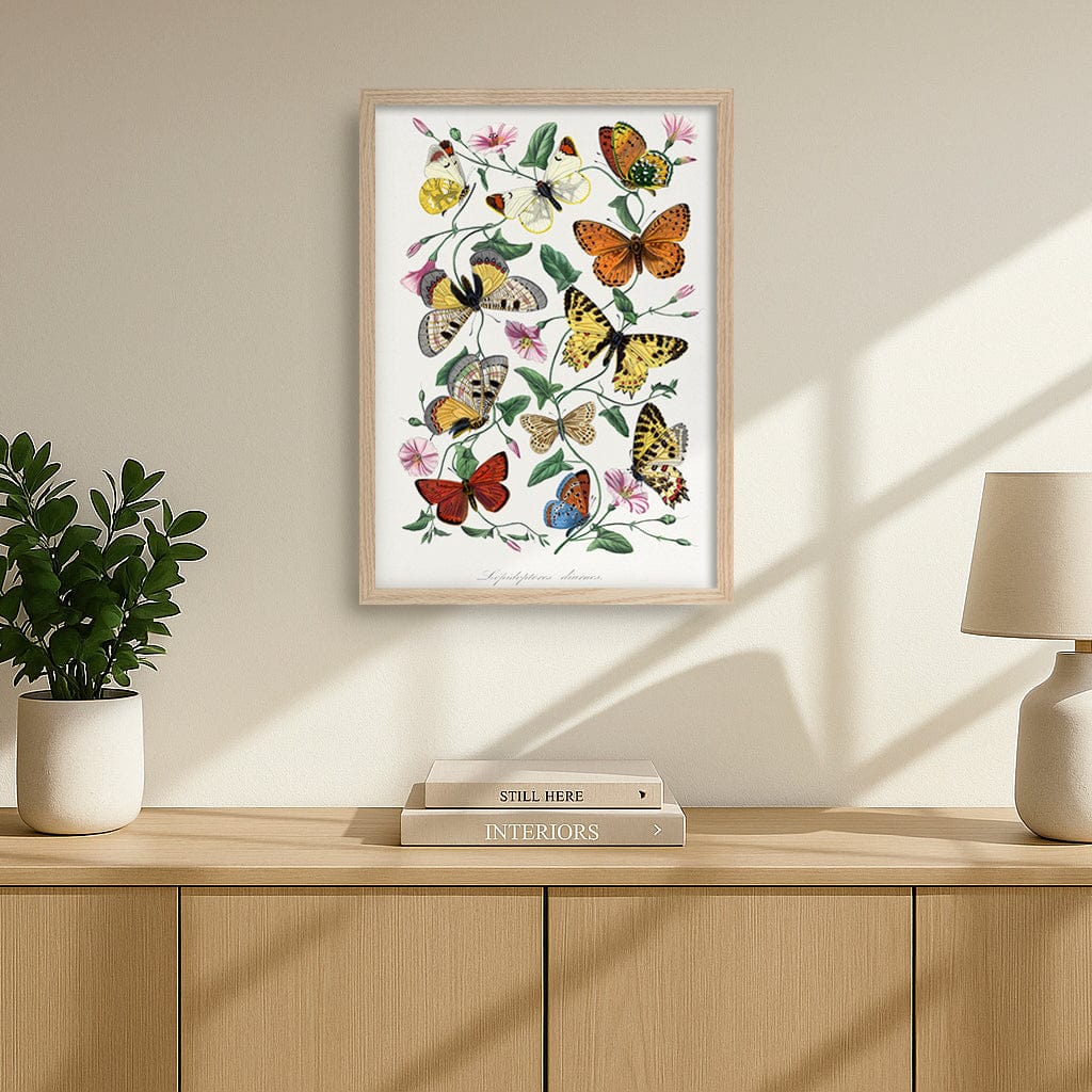 Butterfly & Moth Floral Art Print from our Australian Made Framed Wall Art, Prints & Posters collection by Profile Products (Australia) Pty Ltd