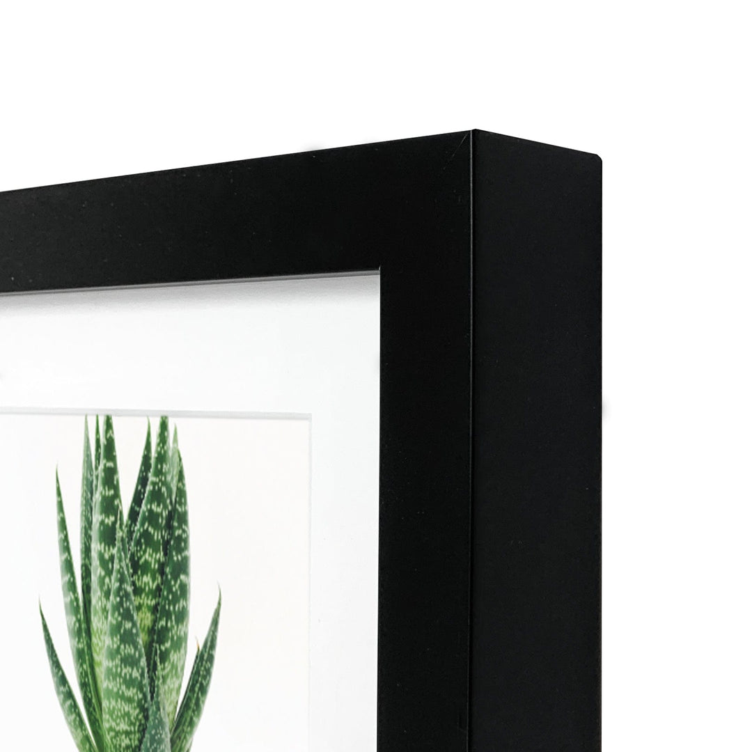 Decorator Black Artist Watercolour Frame Eighth Sheet Imperial from our Australian Made Picture Frames collection by Profile Products (Australia) Pty Ltd