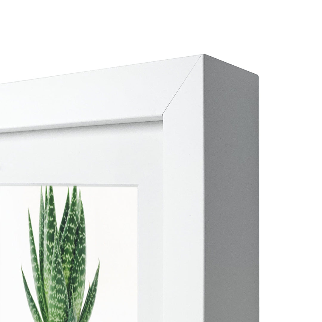 Decorator White Artist Watercolour Frame Eighth Sheet Imperial from our Australian Made Picture Frames collection by Profile Products (Australia) Pty Ltd