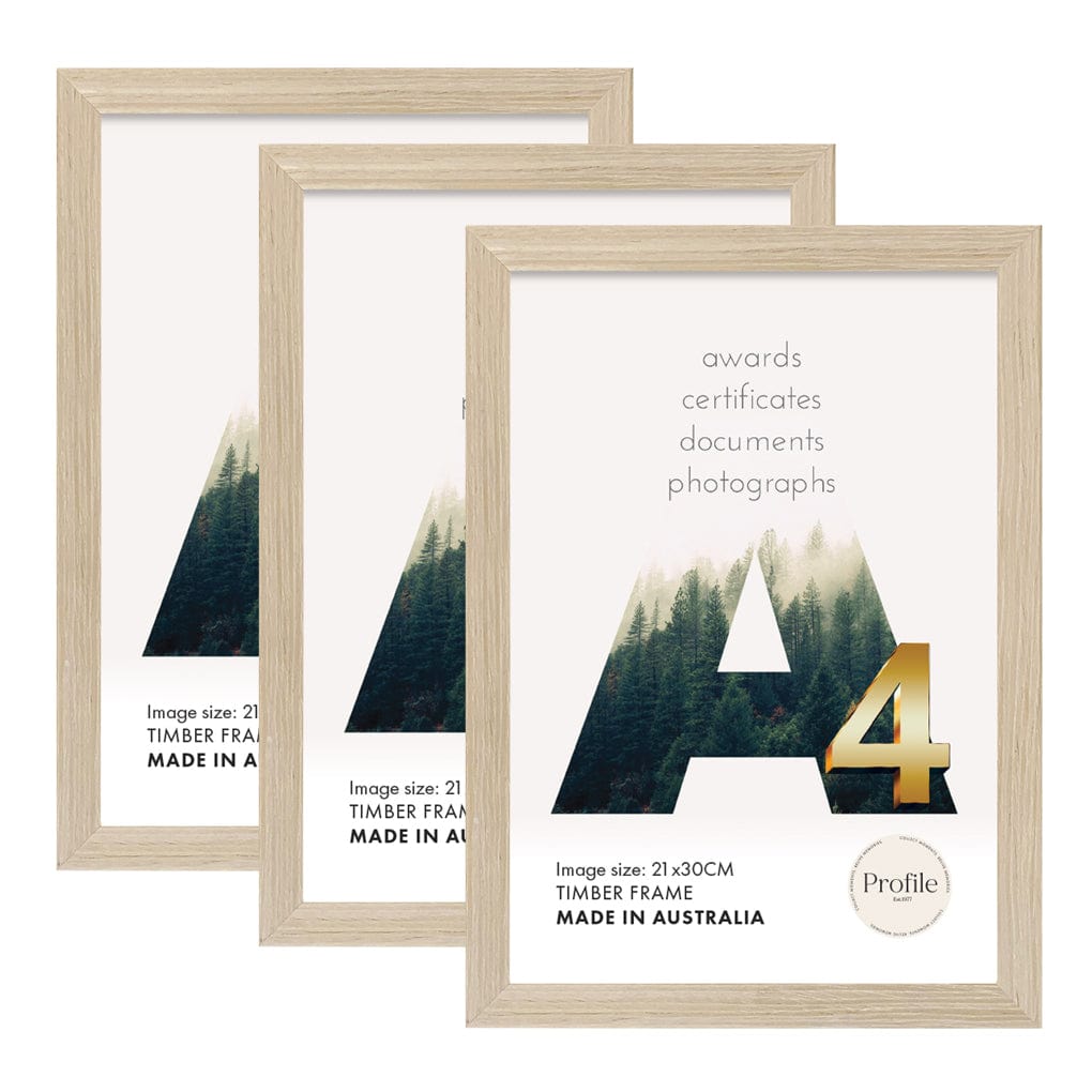 Elegant Polar Birch A4 Set of Frames (Bulk Frame Bundle 3 Pack) from our Australian Made Picture Frames collection by Profile Products (Australia) Pty Ltd