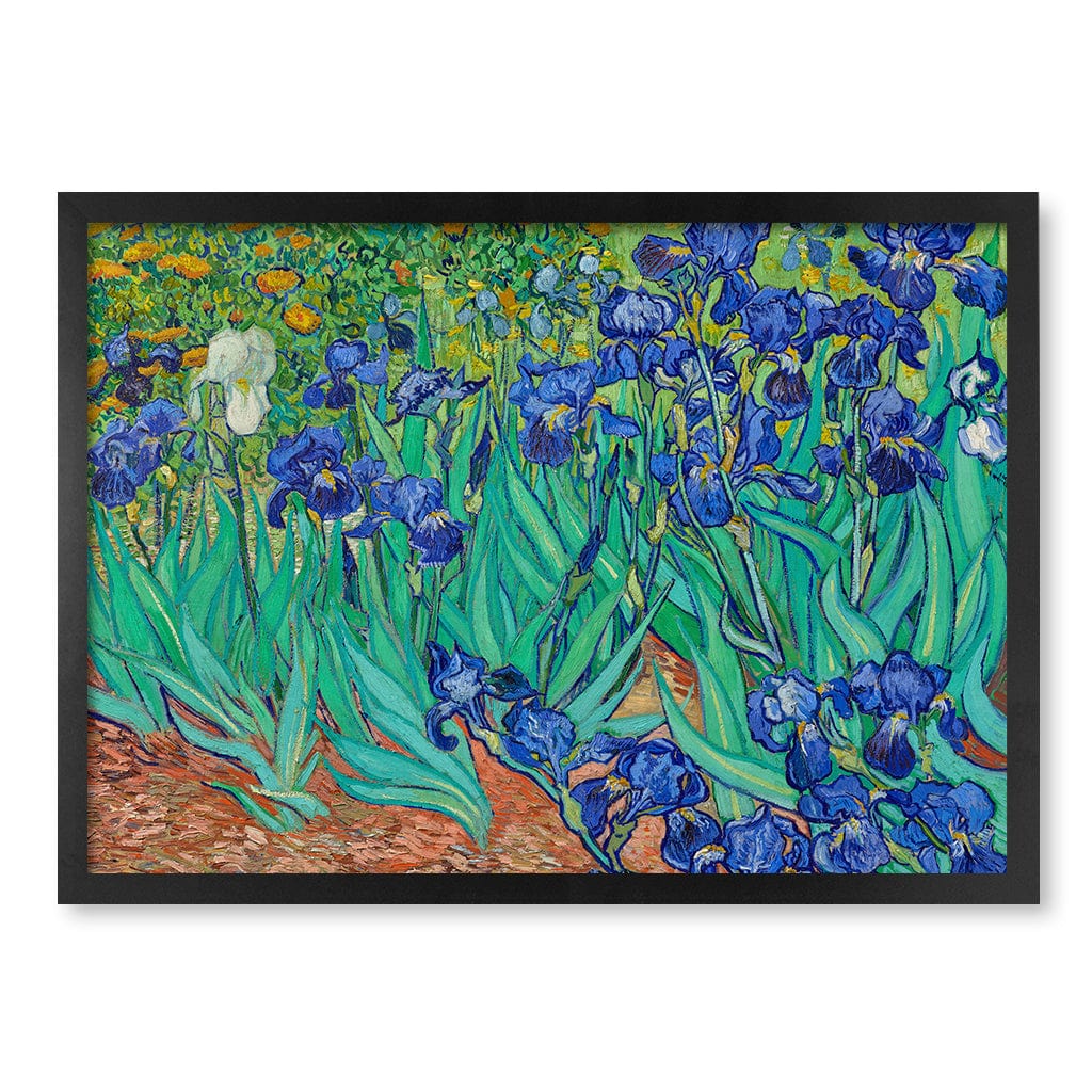 Irises - Vincent van Gogh Art Print A4 (21 x 29.7cm) / Matte Black Frame / No Border from our Australian Made Framed Wall Art, Prints & Posters collection by Profile Products (Australia) Pty Ltd