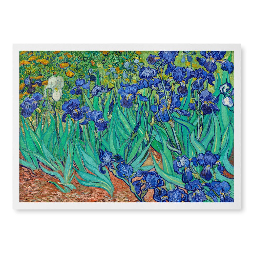 Irises - Vincent van Gogh Art Print A4 (21 x 29.7cm) / Matte White Frame / No Border from our Australian Made Framed Wall Art, Prints & Posters collection by Profile Products (Australia) Pty Ltd