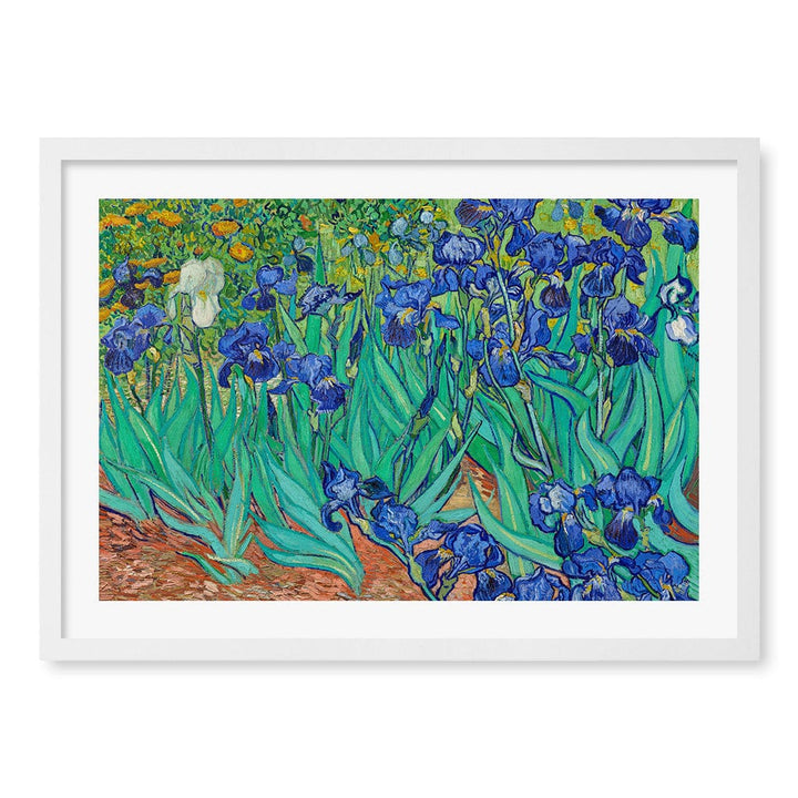 Irises - Vincent van Gogh Art Print A4 (21 x 29.7cm) / Matte White Frame / White Border from our Australian Made Framed Wall Art, Prints & Posters collection by Profile Products (Australia) Pty Ltd