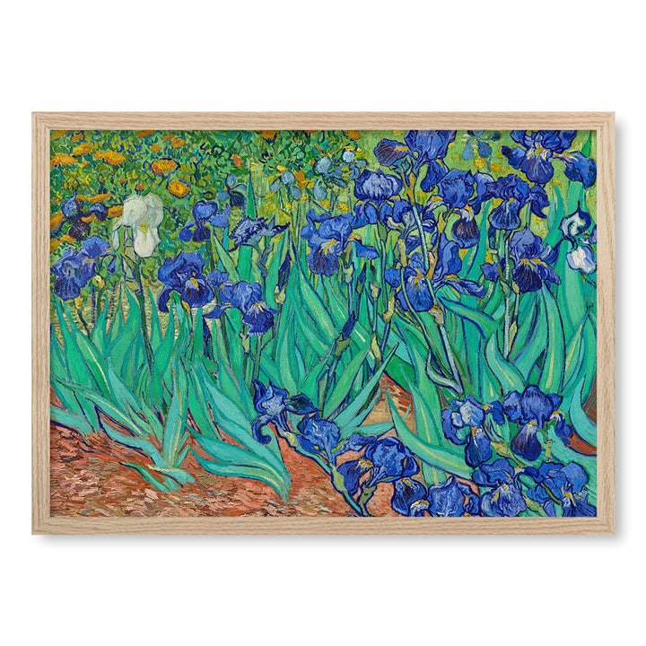 Irises - Vincent van Gogh Art Print A4 (21 x 29.7cm) / Natural Oak Frame / No Border from our Australian Made Framed Wall Art, Prints & Posters collection by Profile Products (Australia) Pty Ltd