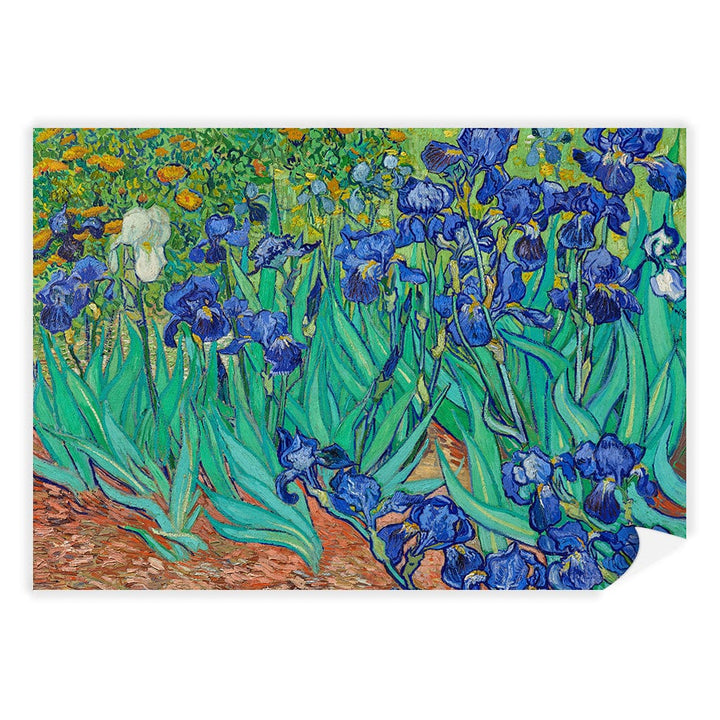 Irises - Vincent van Gogh Art Print A4 (21 x 29.7cm) / Print Only / No Border from our Australian Made Framed Wall Art, Prints & Posters collection by Profile Products (Australia) Pty Ltd