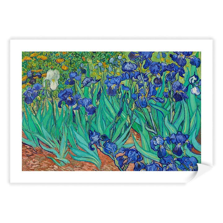 Irises - Vincent van Gogh Art Print A4 (21 x 29.7cm) / Print Only / White Border from our Australian Made Framed Wall Art, Prints & Posters collection by Profile Products (Australia) Pty Ltd