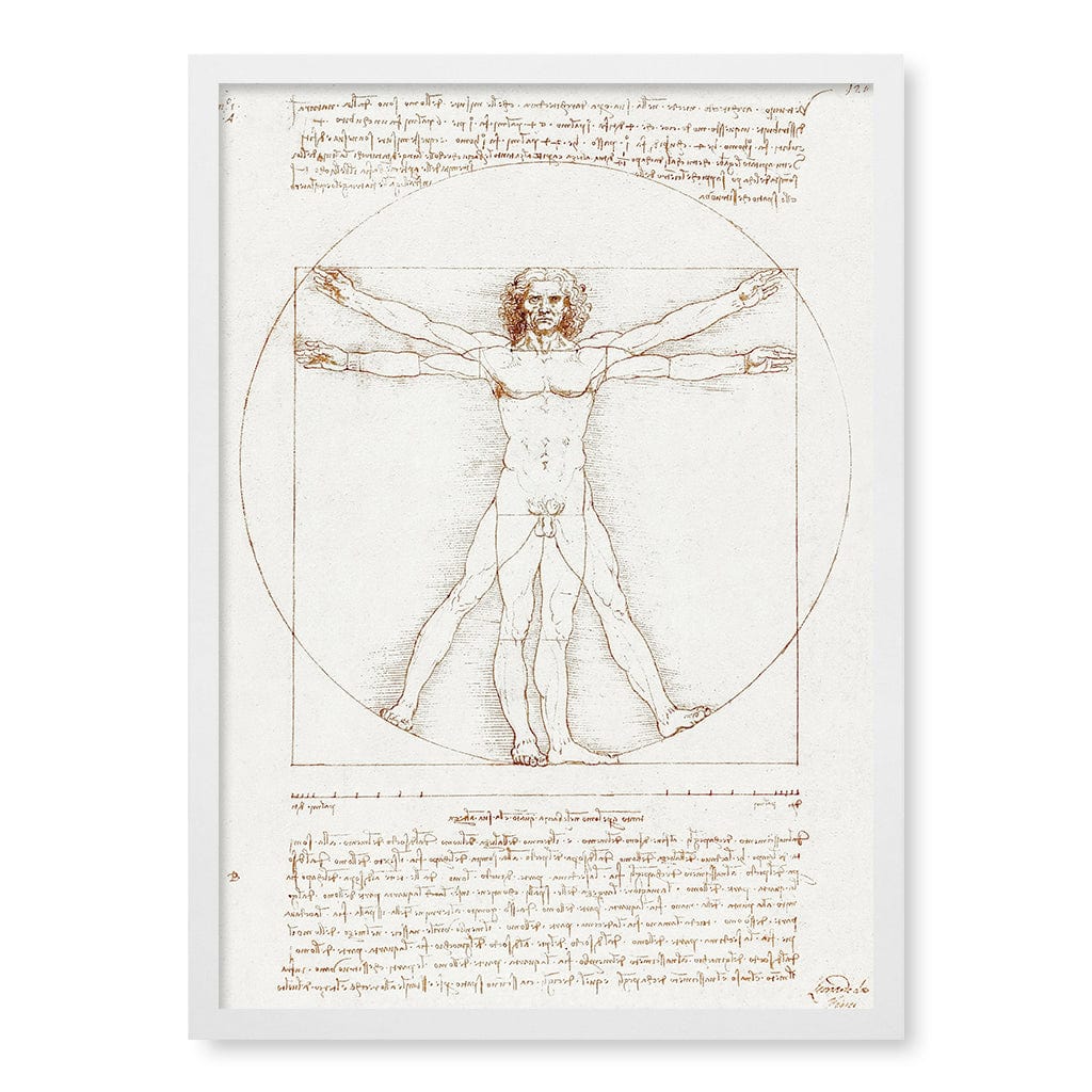 Vitruvian Man - Leonardo da Vinci Art Print A4 (21 x 29.7cm) / Matte White Frame / No Border from our Australian Made Framed Wall Art, Prints & Posters collection by Profile Products (Australia) Pty Ltd