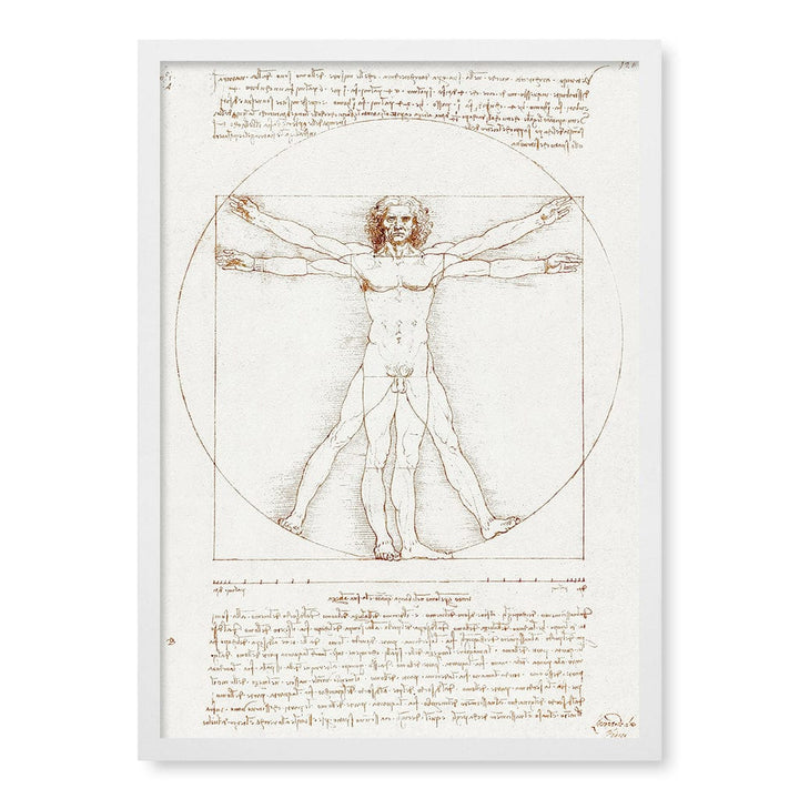 Vitruvian Man - Leonardo da Vinci Art Print A4 (21 x 29.7cm) / Matte White Frame / No Border from our Australian Made Framed Wall Art, Prints & Posters collection by Profile Products (Australia) Pty Ltd