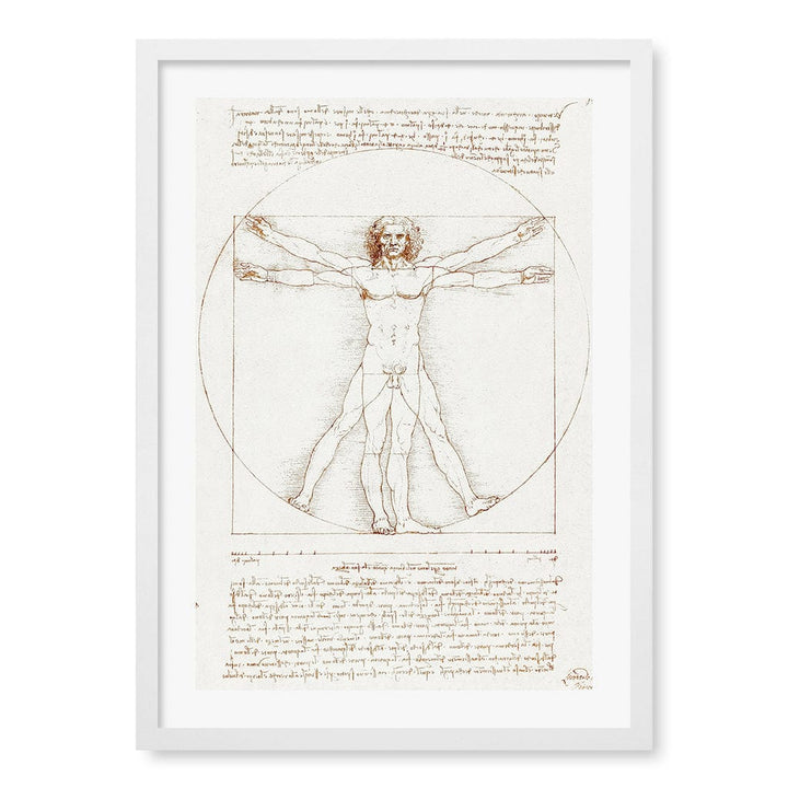 Vitruvian Man - Leonardo da Vinci Art Print A4 (21 x 29.7cm) / Matte White Frame / White Border from our Australian Made Framed Wall Art, Prints & Posters collection by Profile Products (Australia) Pty Ltd