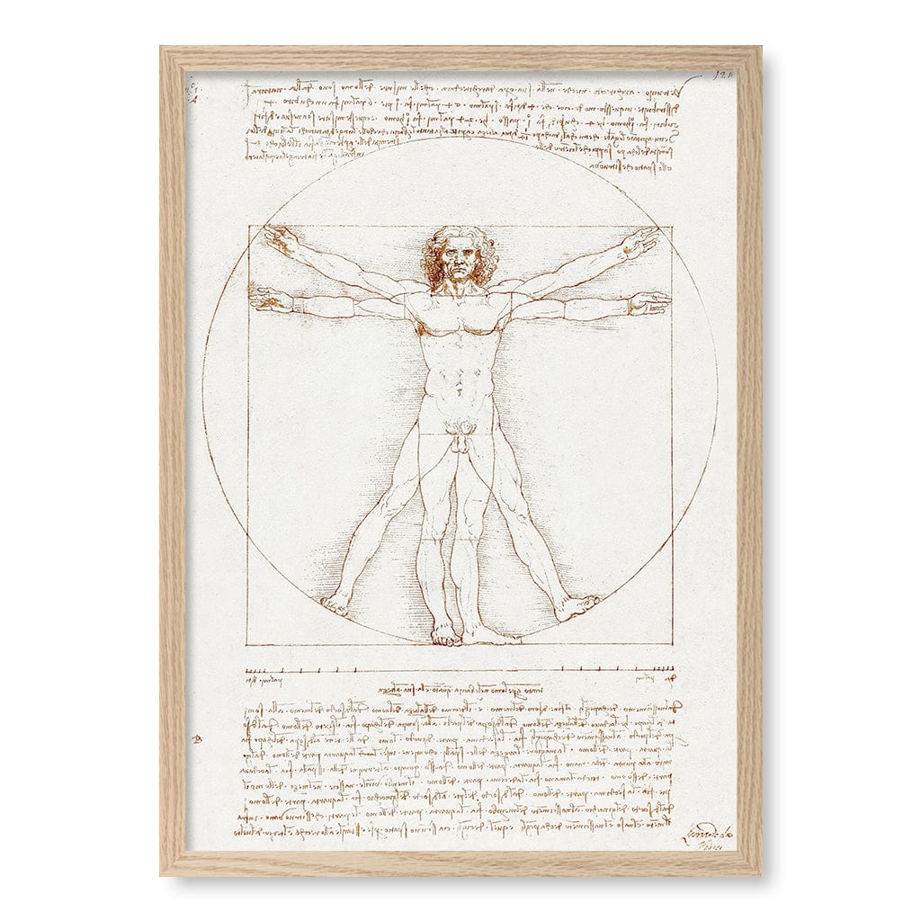 Vitruvian Man - Leonardo da Vinci Art Print A4 (21 x 29.7cm) / Natural Oak Frame / No Border from our Australian Made Framed Wall Art, Prints & Posters collection by Profile Products (Australia) Pty Ltd