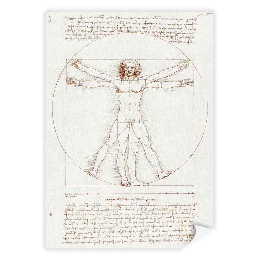 Vitruvian Man - Leonardo da Vinci Art Print A4 (21 x 29.7cm) / Print Only / No Border from our Australian Made Framed Wall Art, Prints & Posters collection by Profile Products (Australia) Pty Ltd