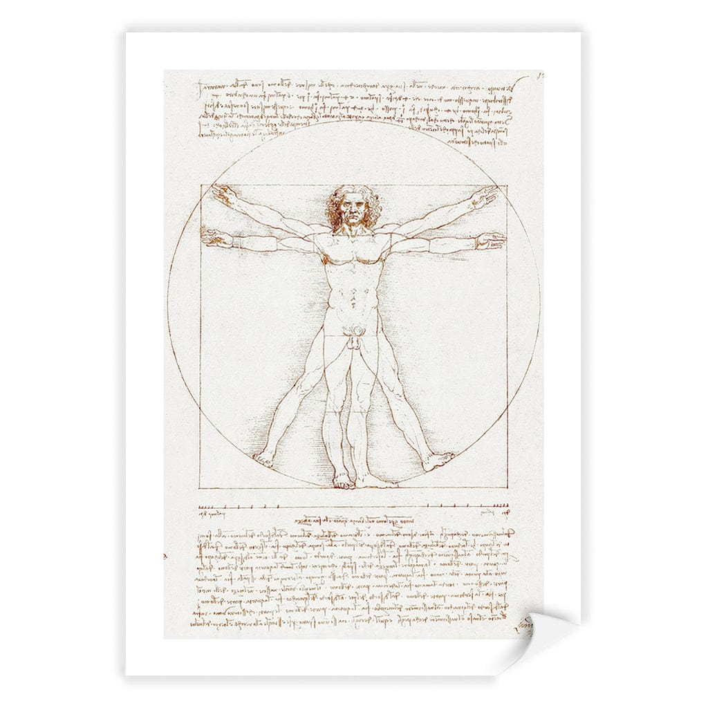 Vitruvian Man - Leonardo da Vinci Art Print A4 (21 x 29.7cm) / Print Only / White Border from our Australian Made Framed Wall Art, Prints & Posters collection by Profile Products (Australia) Pty Ltd