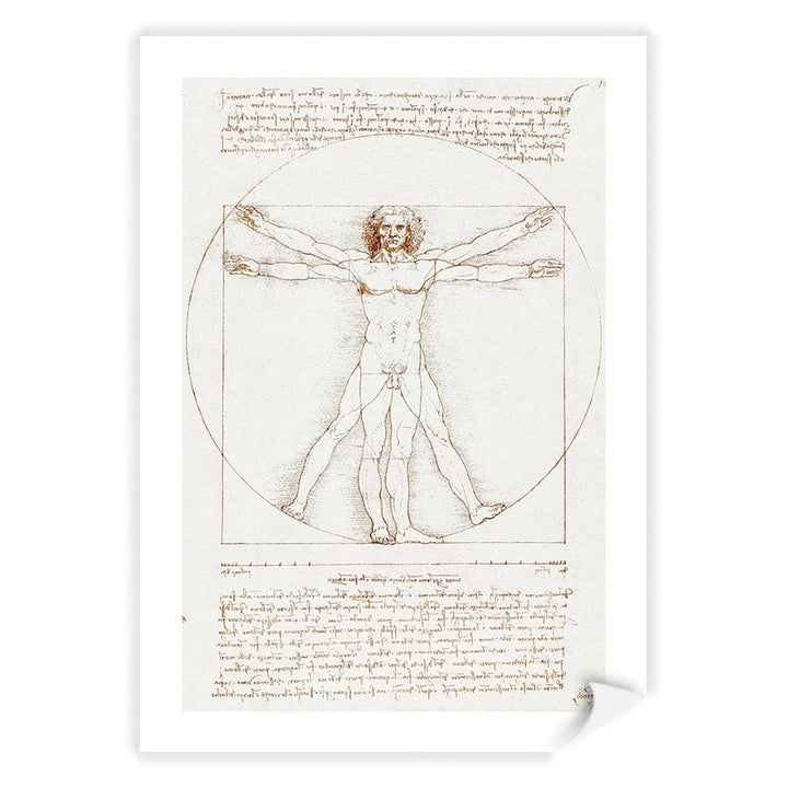 Vitruvian Man - Leonardo da Vinci Art Print A4 (21 x 29.7cm) / Print Only / White Border from our Australian Made Framed Wall Art, Prints & Posters collection by Profile Products (Australia) Pty Ltd