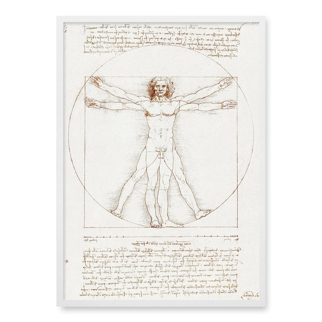 Vitruvian Man Wall Art Print A1 (59.4 x 84.1cm) / Matte White Frame / No Border from our Australian Made Wall Art collection by Profile Australia