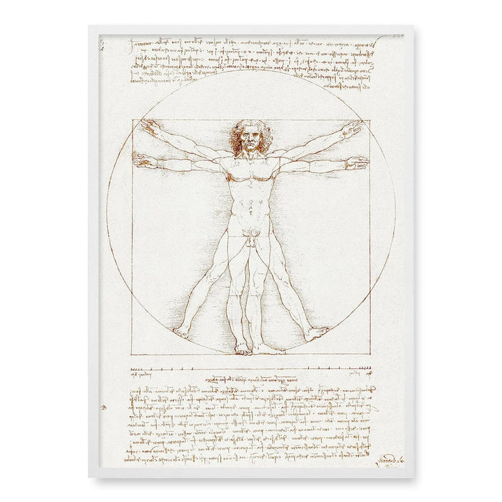 Vitruvian Man Wall Art Print A1 (59.4 x 84.1cm) / Matte White Frame / No Border from our Australian Made Wall Art collection by Profile Australia