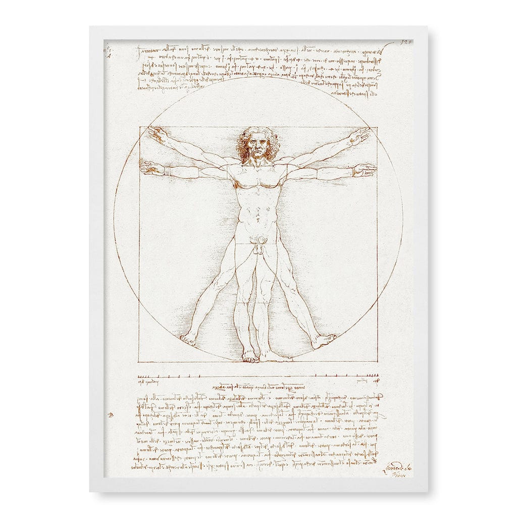 Vitruvian Man Wall Art Print A2 (42 x 59.4cm) / Matte White Frame / No Border from our Australian Made Wall Art collection by Profile Australia
