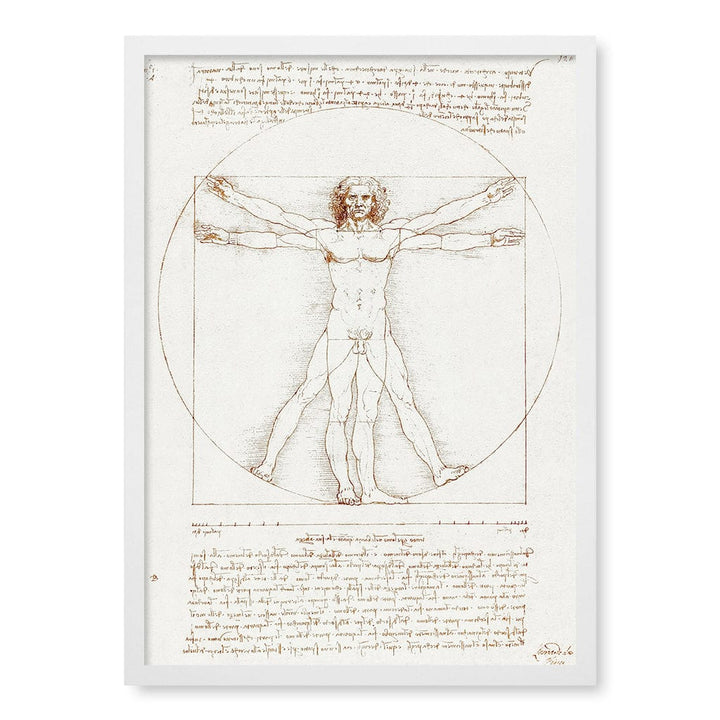 Vitruvian Man Wall Art Print A2 (42 x 59.4cm) / Matte White Frame / No Border from our Australian Made Wall Art collection by Profile Australia