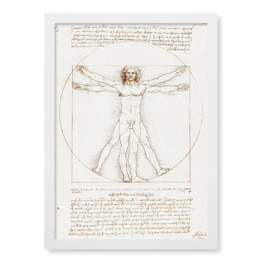 Vitruvian Man Wall Art Print A3 (29.7 x 42cm) / Matte White Frame / No Border from our Australian Made Wall Art collection by Profile Australia