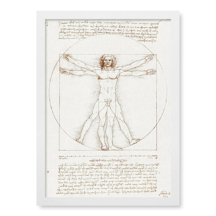 Vitruvian Man Wall Art Print A3 (29.7 x 42cm) / Matte White Frame / No Border from our Australian Made Wall Art collection by Profile Australia