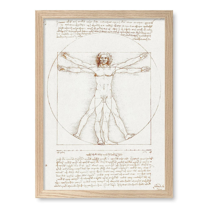 Vitruvian Man Wall Art Print A3 (29.7 x 42cm) / Natural Oak Frame / No Border from our Australian Made Wall Art collection by Profile Australia