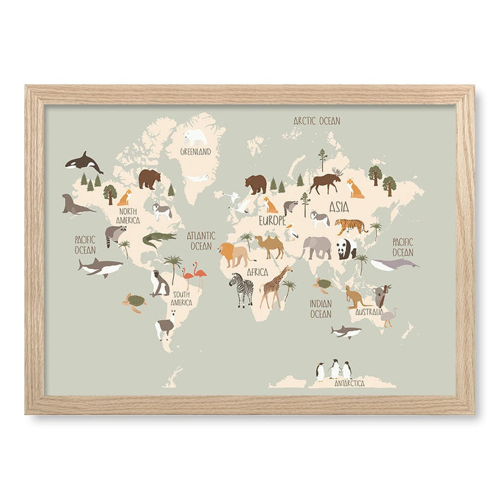 Wildlife World Map Educational Kids Wall Art Print A3 (29.7 x 42cm) / Natural Oak Frame / No Border from our Australian Made Framed Wall Art, Prints & Posters collection by Profile Products (Australia) Pty Ltd