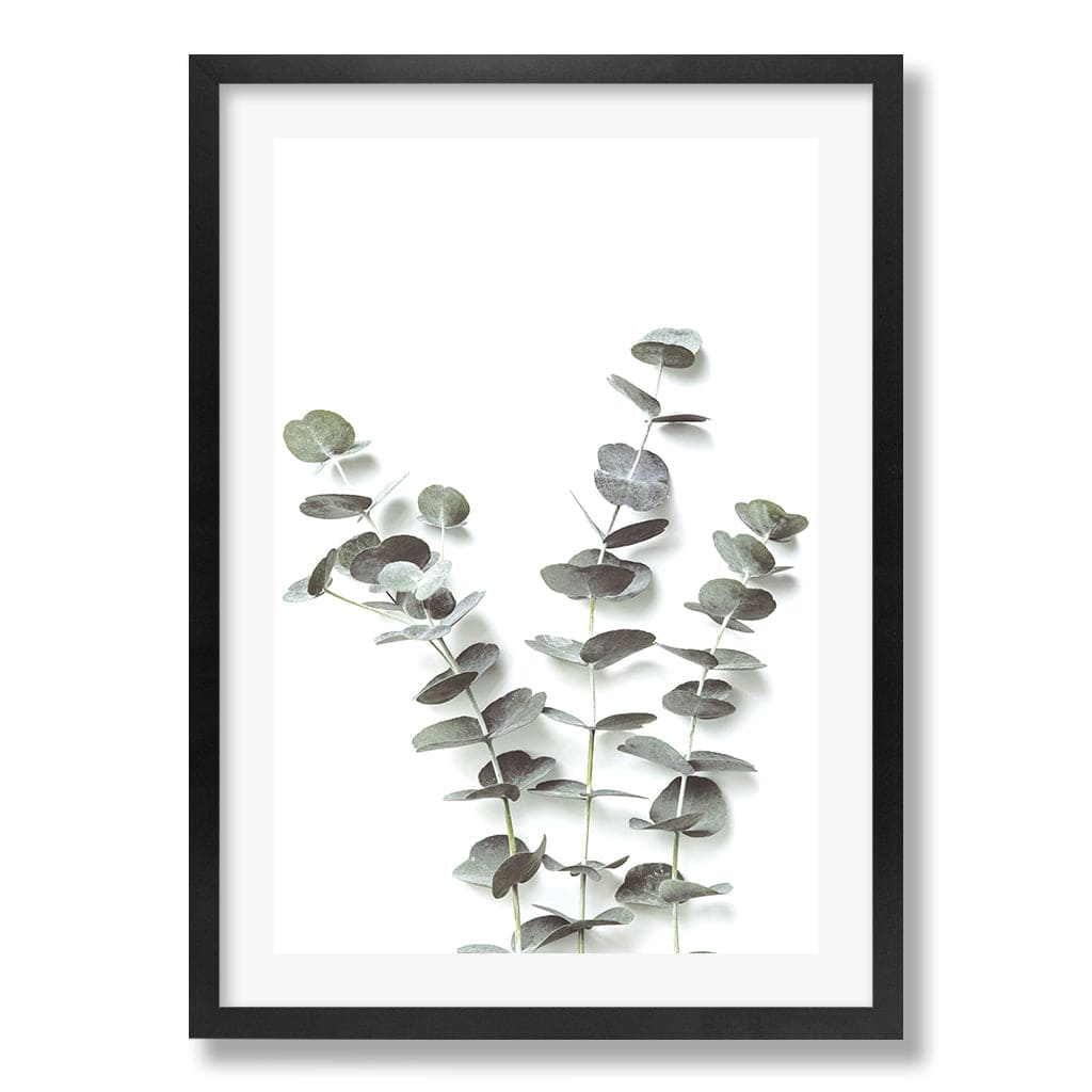 Eucalyptus Foliage Wall Art Print from our Australian Made Framed Wall Art, Prints & Posters collection by Profile Products Australia