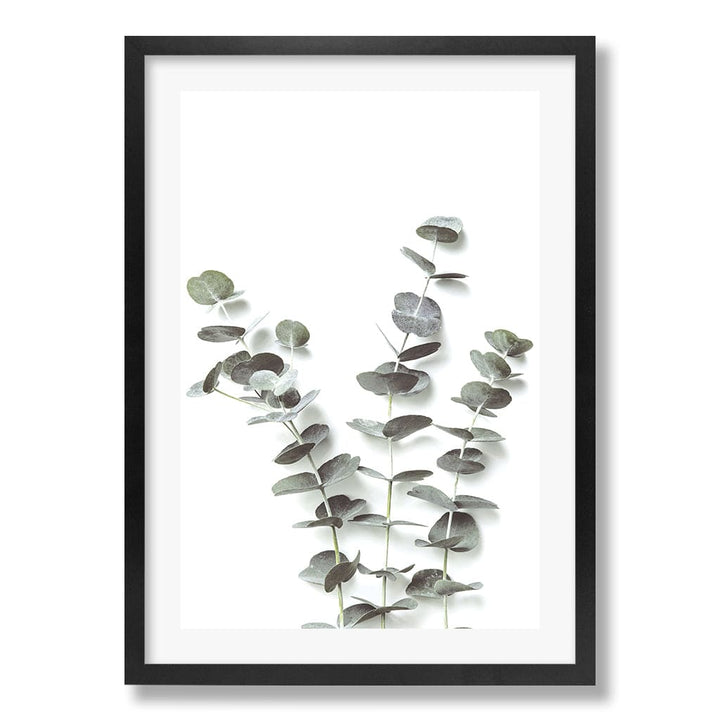 Eucalyptus Foliage Wall Art Print from our Australian Made Framed Wall Art, Prints & Posters collection by Profile Products Australia