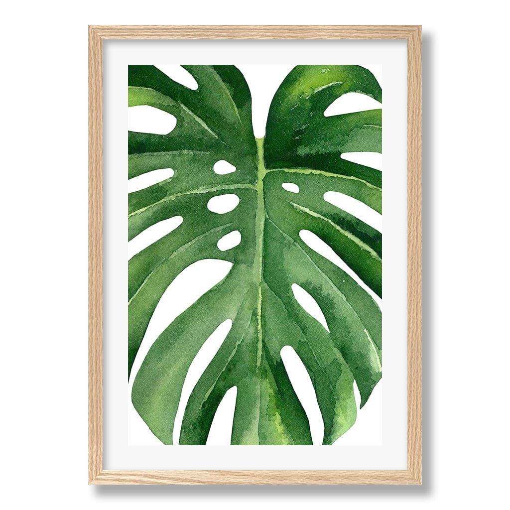 Monstera Leaf Wall Art Print from our Australian Made Framed Wall Art, Prints & Posters collection by Profile Products Australia