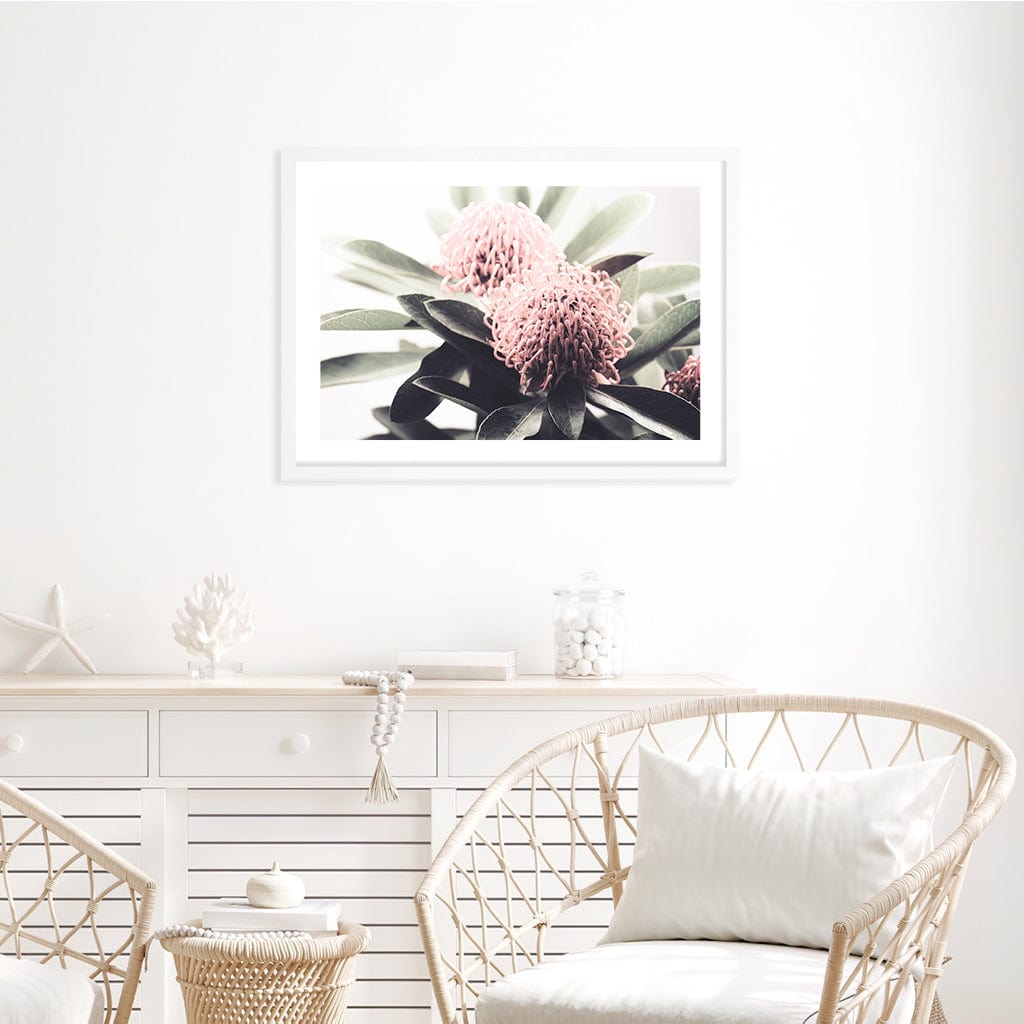 Waratah Flowers Wall Art Print from our Australian Made Framed Wall Art, Prints & Posters collection by Profile Products Australia
