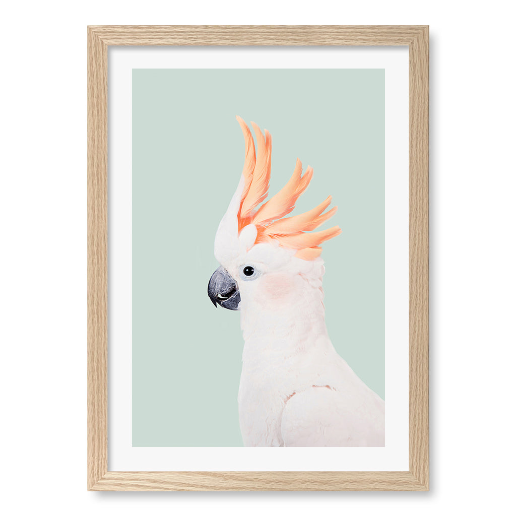 Cockatoo on Mint Wall Art Print