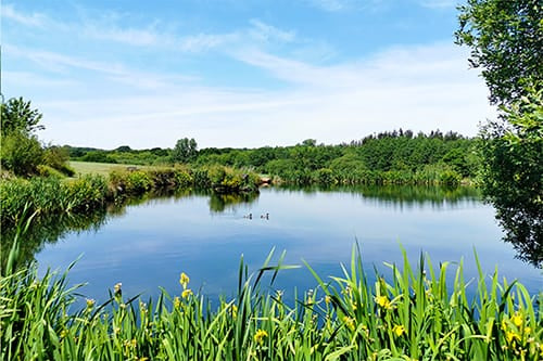 scenic photo of english countryside