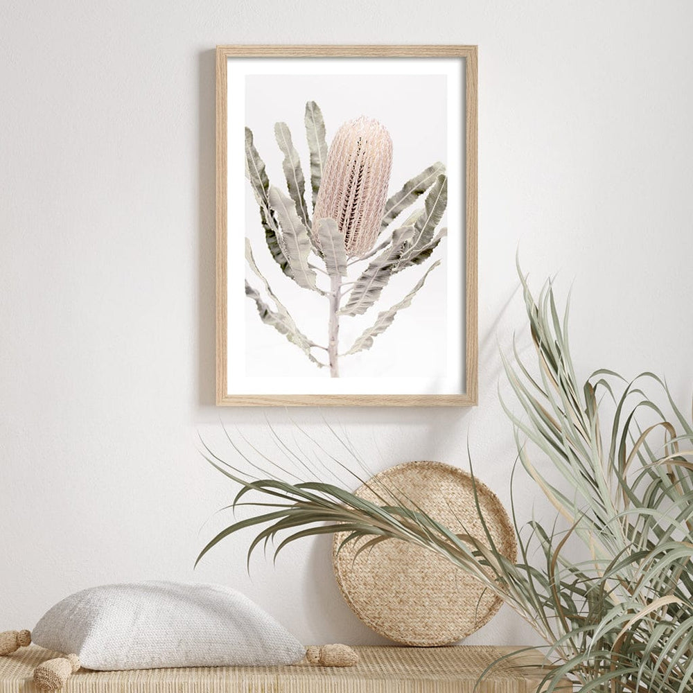 Banksia Flower Wall Art Print from our Australian Made Framed Wall Art, Prints & Posters collection by Profile Australia