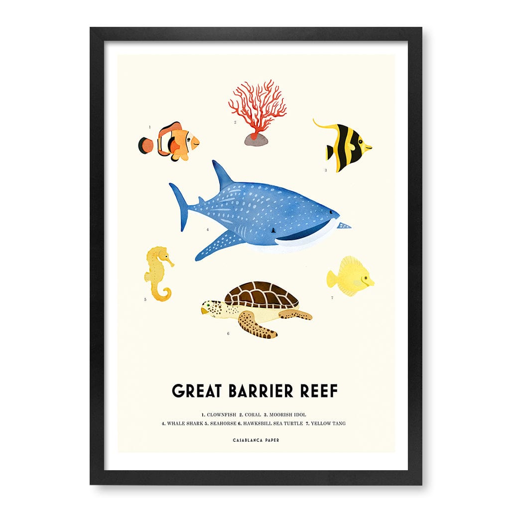 Barrier Reef Sealife Kids Educational Wall Art Print A2 (42 x 59.4cm) / Matte Black Frame / No Border from our Australian Made Framed Wall Art, Prints & Posters collection by Profile Products (Australia) Pty Ltd