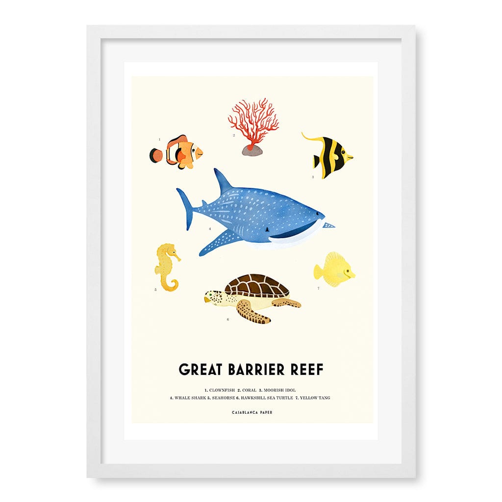 Barrier Reef Sealife Kids Educational Wall Art Print A2 (42 x 59.4cm) / Matte White Frame / White Border from our Australian Made Framed Wall Art, Prints & Posters collection by Profile Products (Australia) Pty Ltd