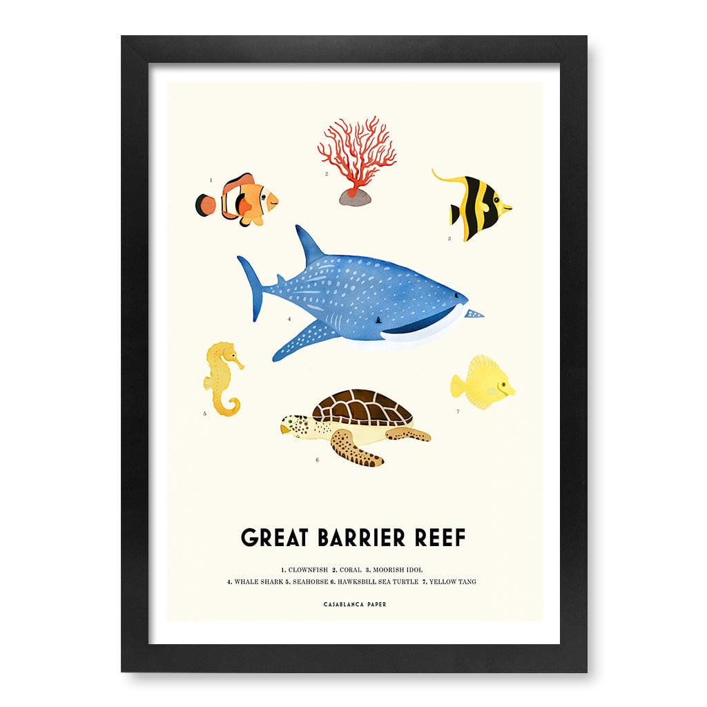 Barrier Reef Sealife Kids Educational Wall Art Print A3 (29.7 x 42cm) / Matte Black Frame / No Border from our Australian Made Framed Wall Art, Prints & Posters collection by Profile Products (Australia) Pty Ltd