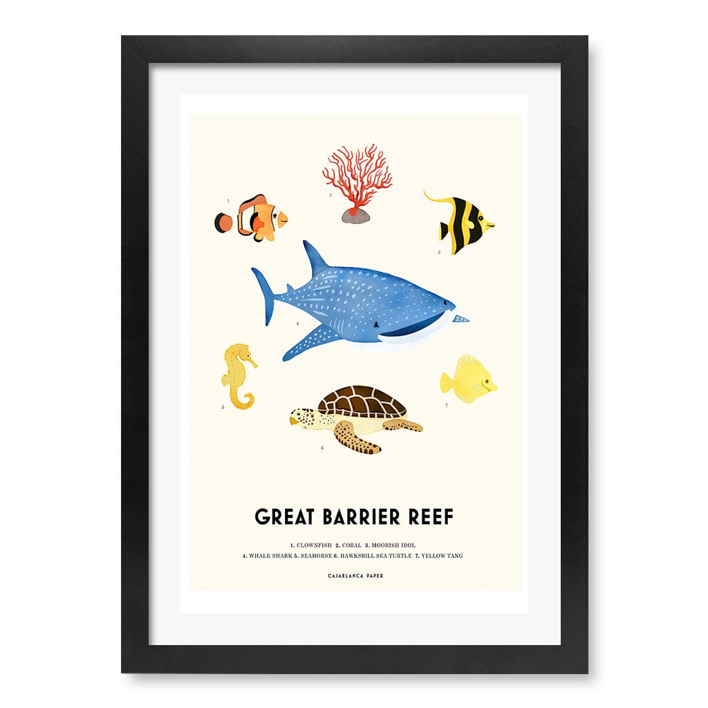 Barrier Reef Sealife Kids Educational Wall Art Print A3 (29.7 x 42cm) / Matte Black Frame / White Border from our Australian Made Framed Wall Art, Prints & Posters collection by Profile Products (Australia) Pty Ltd