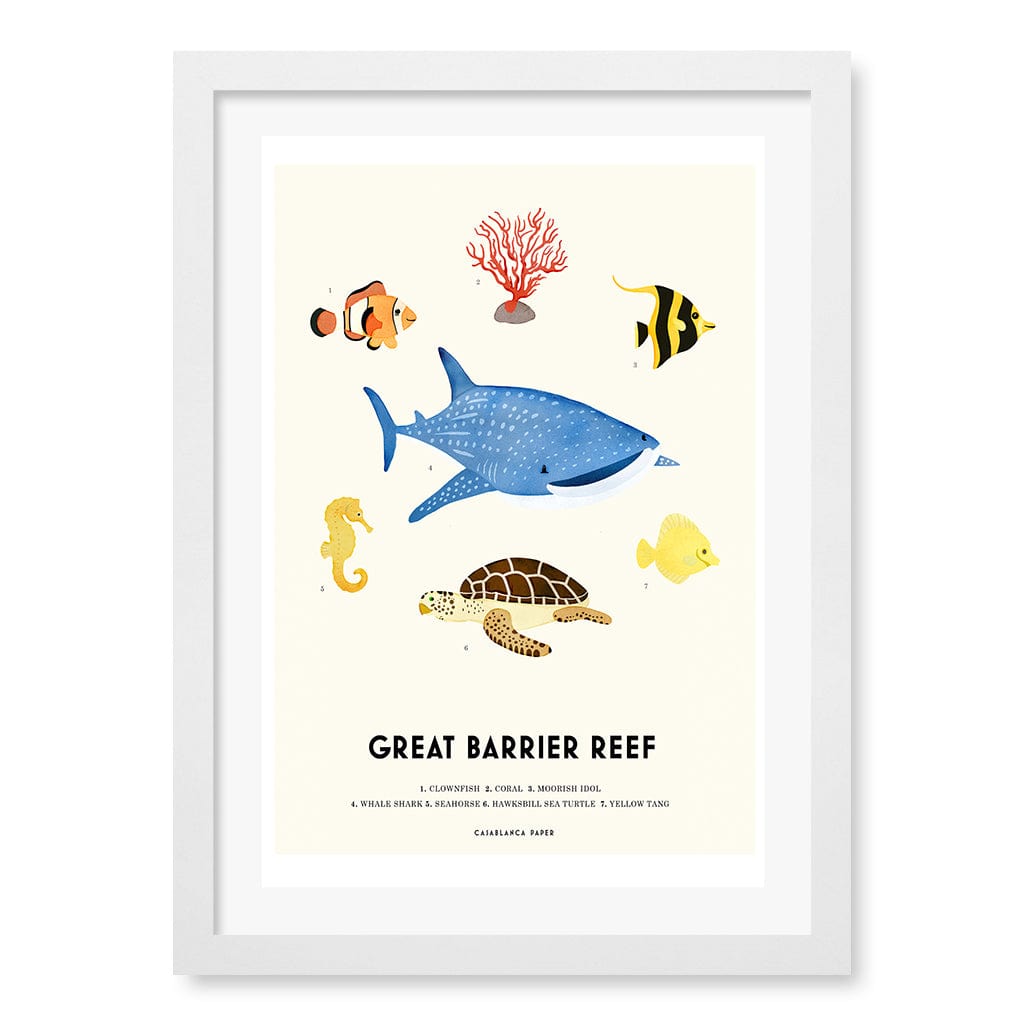 Barrier Reef Sealife Kids Educational Wall Art Print A3 (29.7 x 42cm) / Matte White Frame / White Border from our Australian Made Framed Wall Art, Prints & Posters collection by Profile Products (Australia) Pty Ltd
