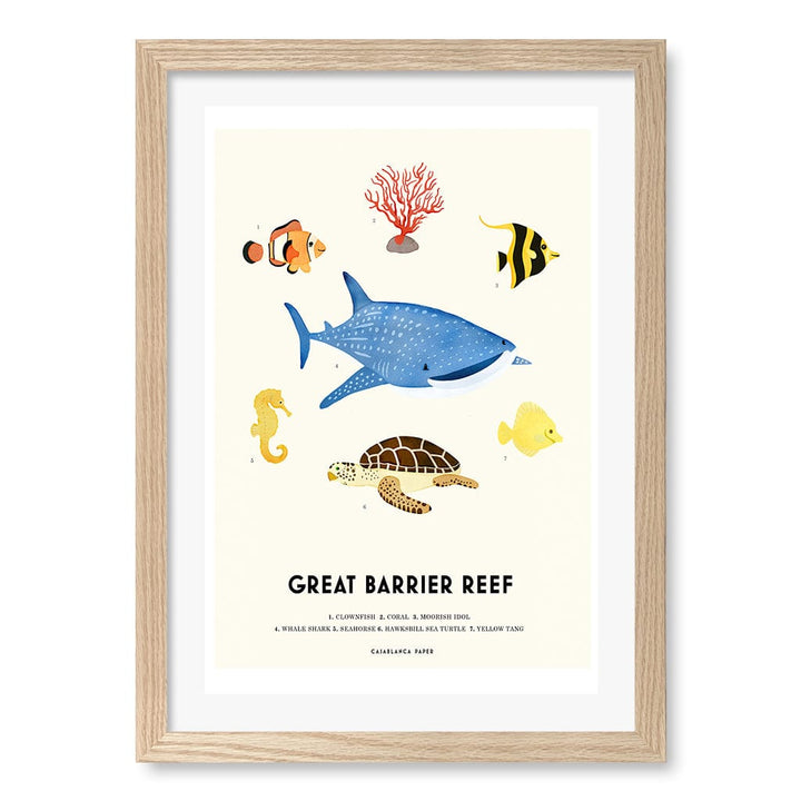Barrier Reef Sealife Kids Educational Wall Art Print A3 (29.7 x 42cm) / Natural Oak Frame / White Border from our Australian Made Framed Wall Art, Prints & Posters collection by Profile Products (Australia) Pty Ltd