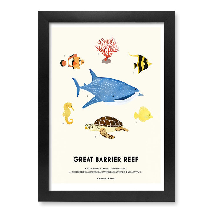Barrier Reef Sealife Kids Educational Wall Art Print A4 (21 x 29.7cm) / Matte Black Frame / No Border from our Australian Made Framed Wall Art, Prints & Posters collection by Profile Products (Australia) Pty Ltd