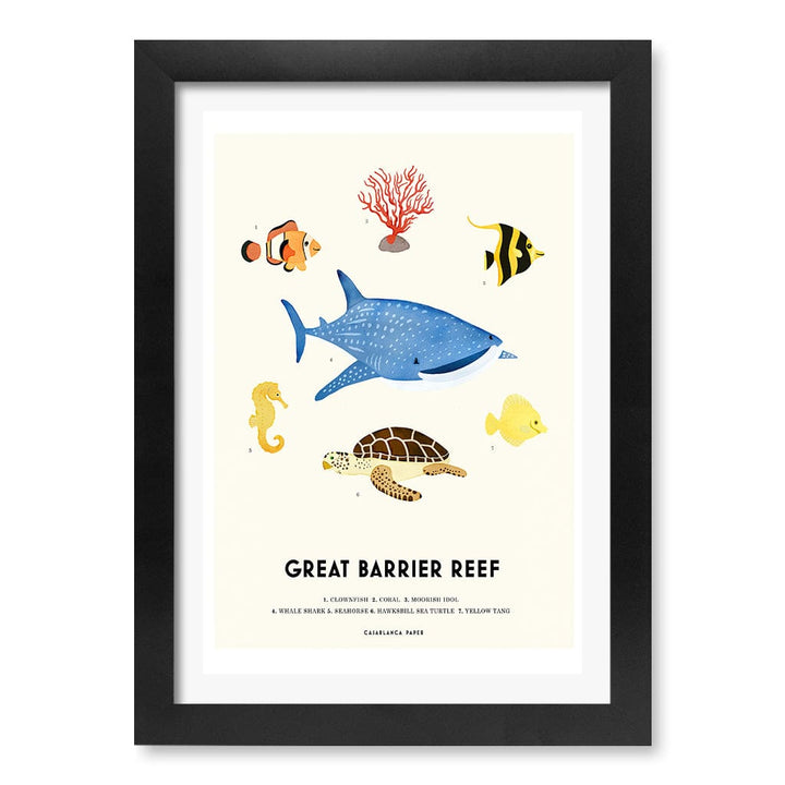 Barrier Reef Sealife Kids Educational Wall Art Print A4 (21 x 29.7cm) / Matte Black Frame / White Border from our Australian Made Framed Wall Art, Prints & Posters collection by Profile Products (Australia) Pty Ltd