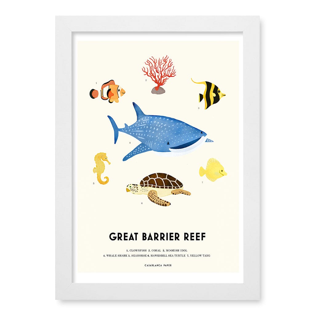 Barrier Reef Sealife Kids Educational Wall Art Print A4 (21 x 29.7cm) / Matte White Frame / No Border from our Australian Made Framed Wall Art, Prints & Posters collection by Profile Products (Australia) Pty Ltd