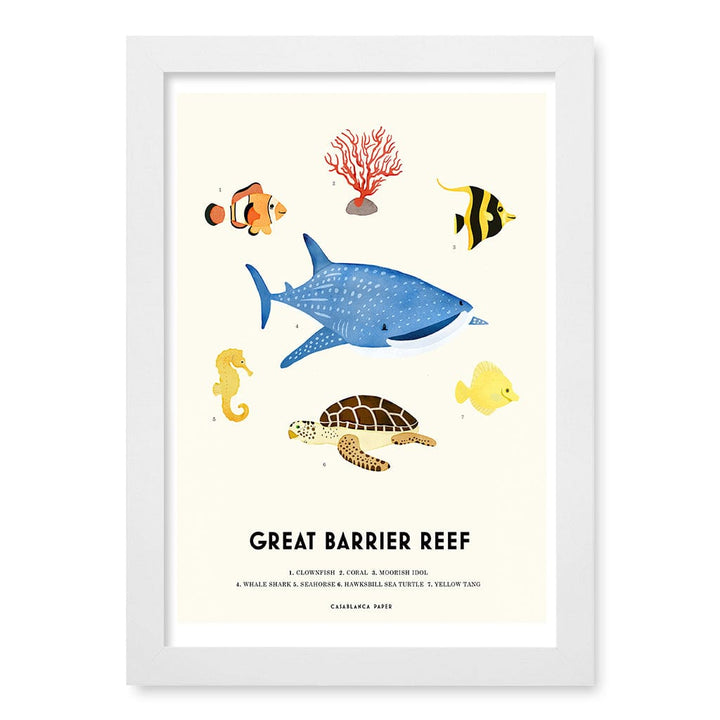 Barrier Reef Sealife Kids Educational Wall Art Print A4 (21 x 29.7cm) / Matte White Frame / No Border from our Australian Made Framed Wall Art, Prints & Posters collection by Profile Products (Australia) Pty Ltd