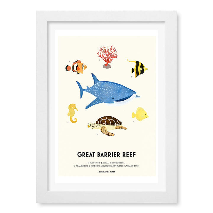 Barrier Reef Sealife Kids Educational Wall Art Print A4 (21 x 29.7cm) / Matte White Frame / White Border from our Australian Made Framed Wall Art, Prints & Posters collection by Profile Products (Australia) Pty Ltd