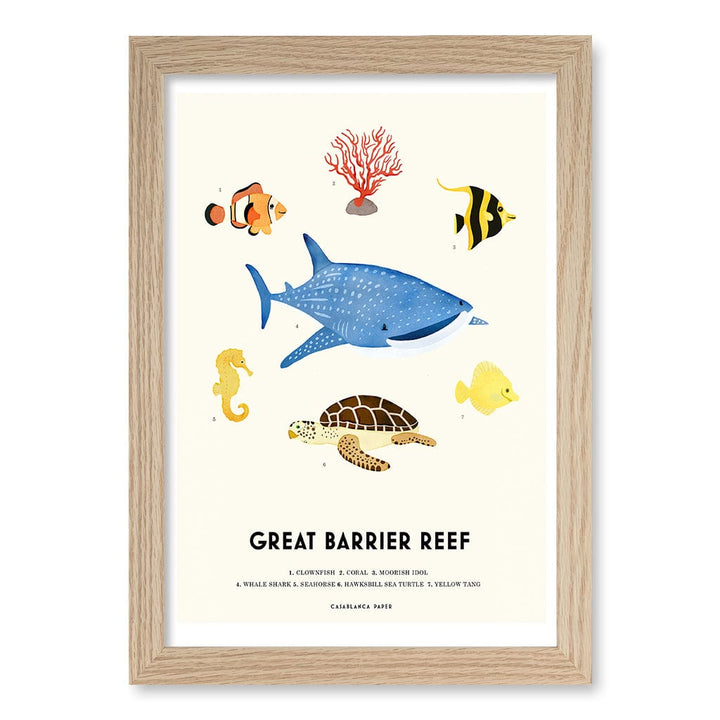 Barrier Reef Sealife Kids Educational Wall Art Print A4 (21 x 29.7cm) / Natural Oak Frame / No Border from our Australian Made Framed Wall Art, Prints & Posters collection by Profile Products (Australia) Pty Ltd