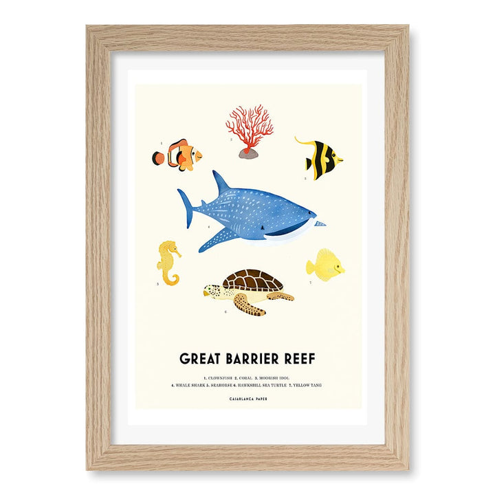 Barrier Reef Sealife Kids Educational Wall Art Print A4 (21 x 29.7cm) / Natural Oak Frame / White Border from our Australian Made Framed Wall Art, Prints & Posters collection by Profile Products (Australia) Pty Ltd