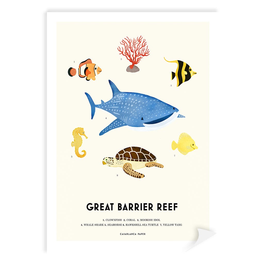 Barrier Reef Sealife Kids Educational Wall Art Print A4 (21 x 29.7cm) / Print Only / No Border from our Australian Made Framed Wall Art, Prints & Posters collection by Profile Products (Australia) Pty Ltd