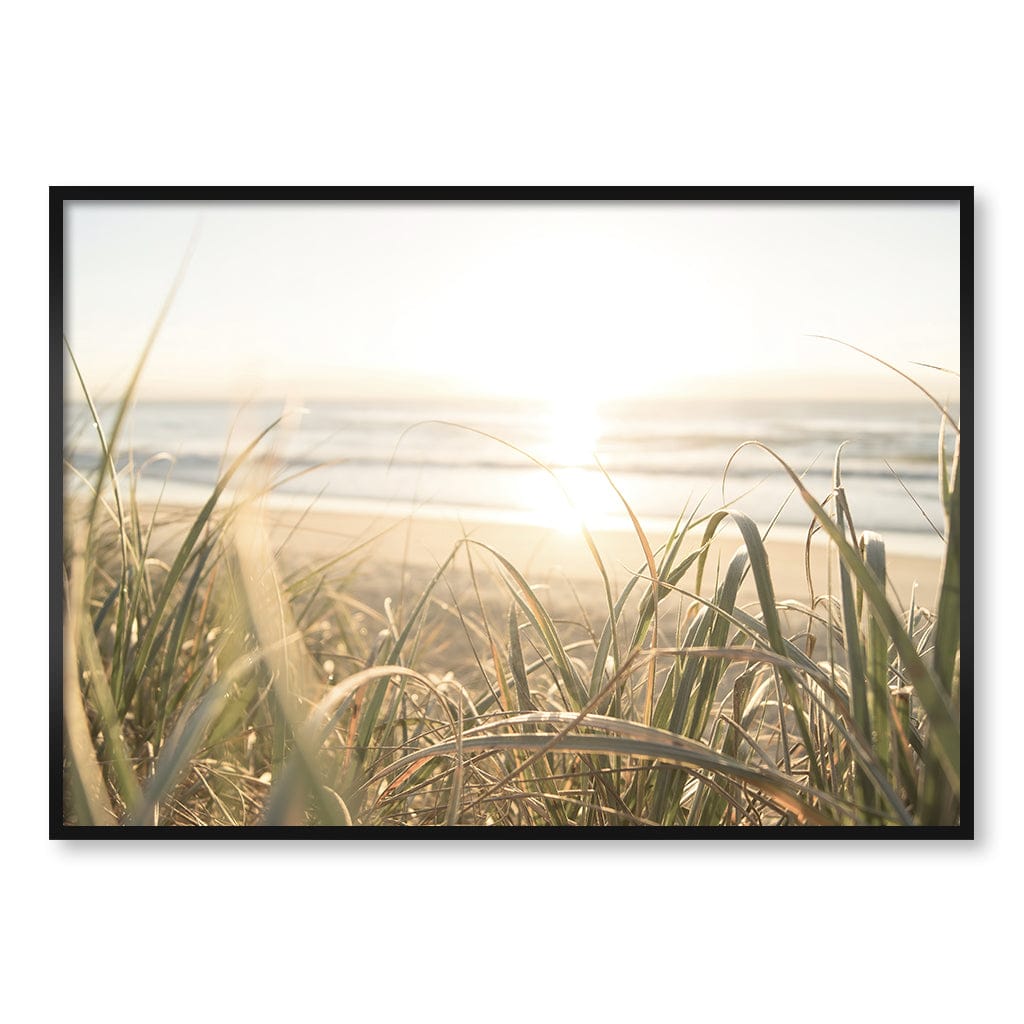 Beach Grass Sunset Wall Art Print A0 (84.1 x 118.9cm) / Matte Black Frame / No Border from our Australian Made Framed Wall Art, Prints & Posters collection by Profile Products (Australia) Pty Ltd